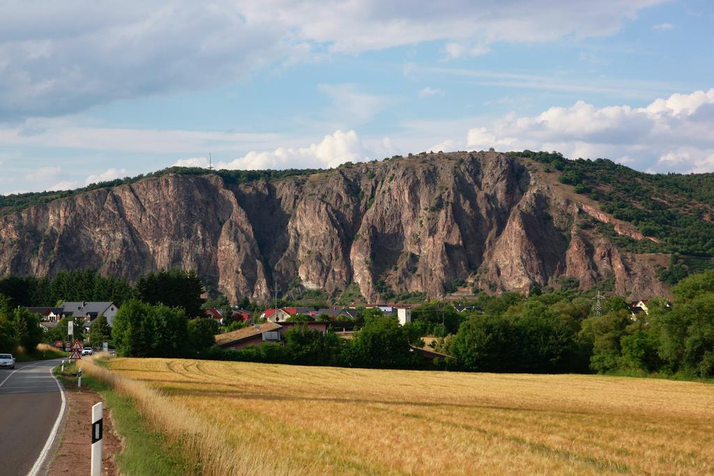 Landhotel Lembergblick Feilbingert Екстер'єр фото