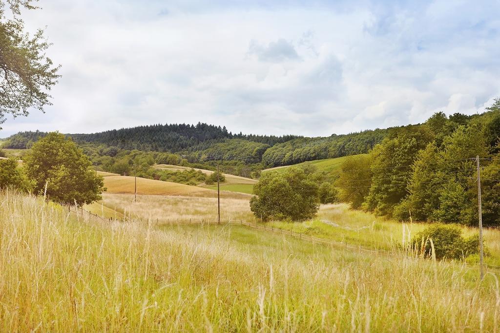 Landhotel Lembergblick Feilbingert Екстер'єр фото