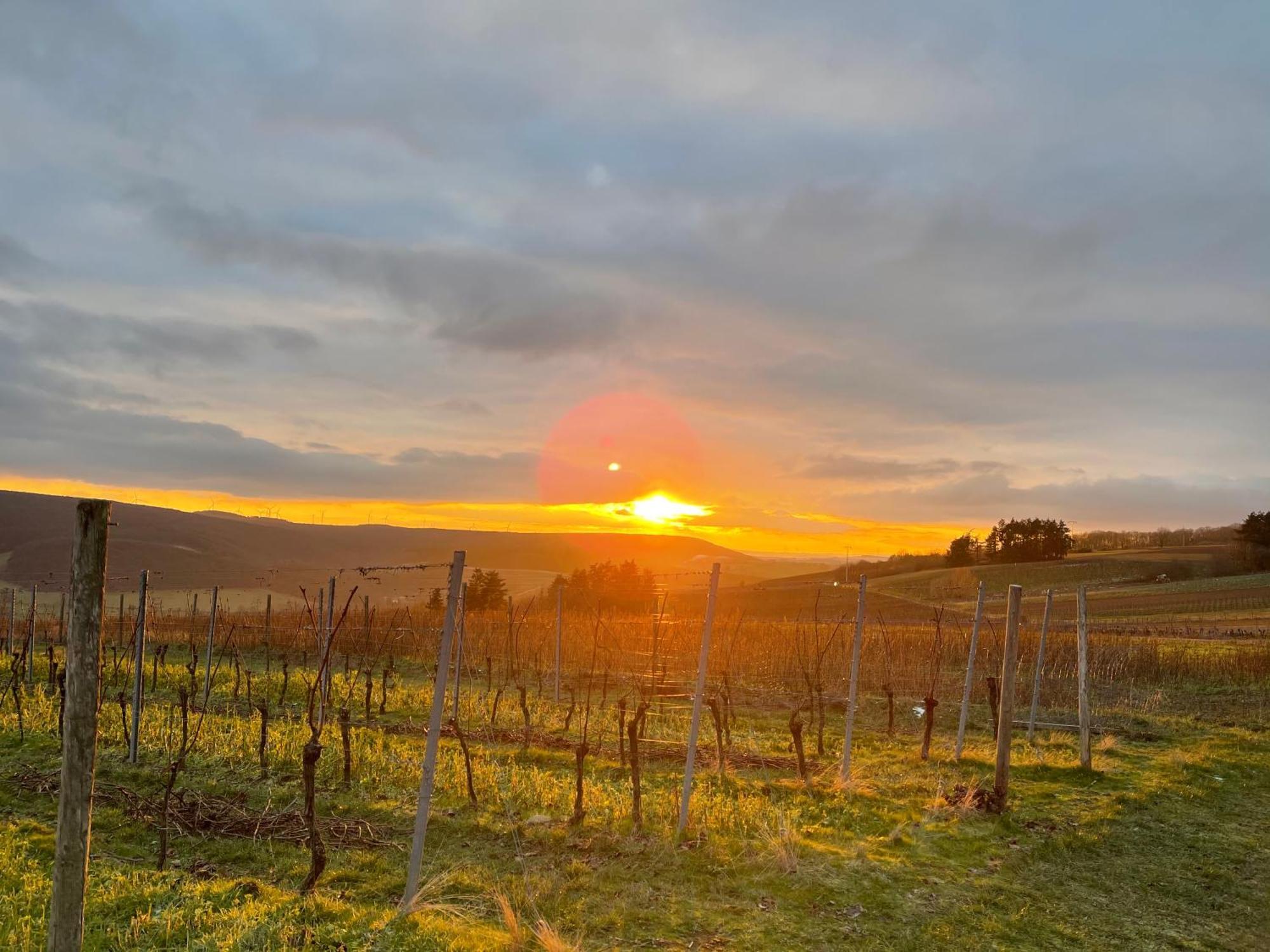 Landhotel Lembergblick Feilbingert Екстер'єр фото